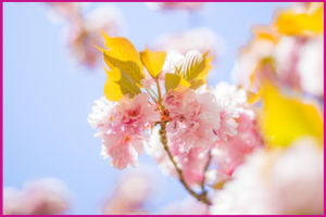 Happy May