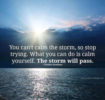 You Can't Calm the Storm
