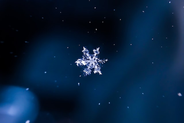 Snowflake Photo Courtesy of Darius Cotoi