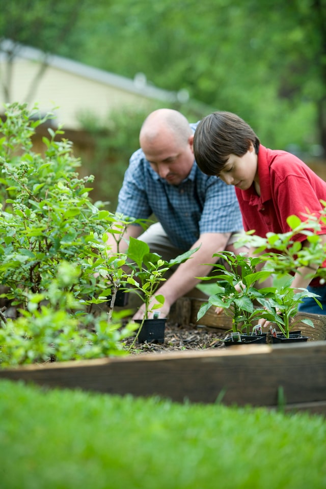 Photo Courtesy of CDC Raised Garden Beds