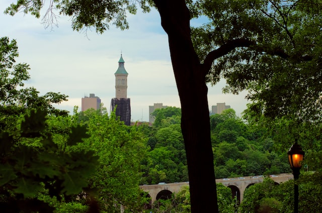 The Bronx Park Photo Courtesy of Sadia Afreen