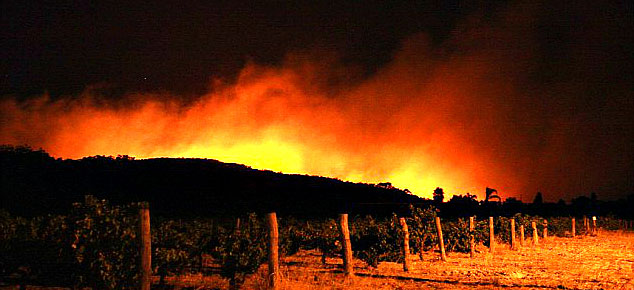 Napa Valley Wine Country Fires