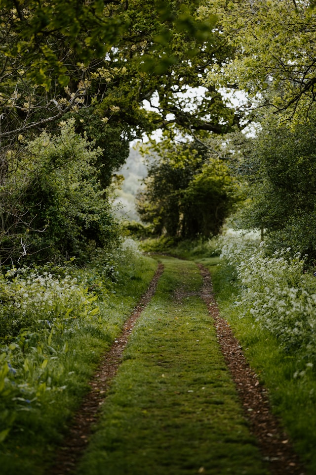 pHOTO cOURTESY OF aNNIE sPRATT